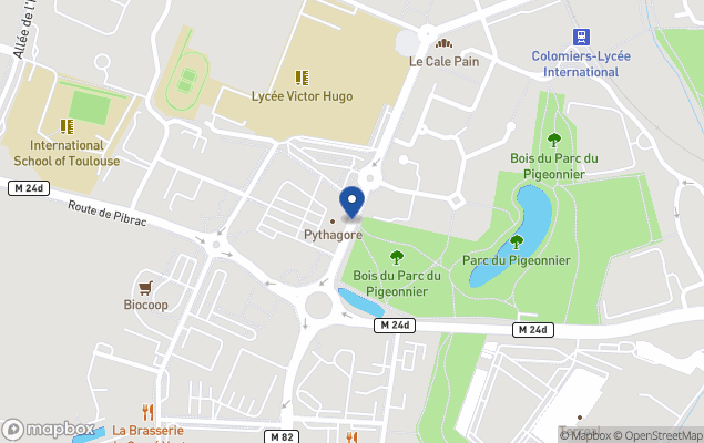 las palmeras servimmo